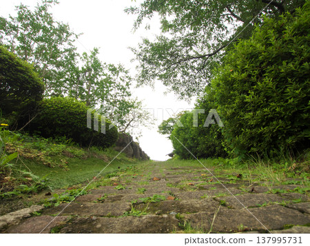 Stone pavement on a walking trail in the mountains Stone pavement on a walking trail in the mountains 137995731