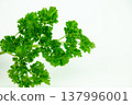 Healthy food background with fresh parsley bunch 137996001