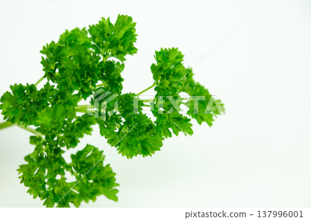 Healthy food background with fresh parsley bunch 137996001