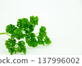Green herb harvest on dark kitchen background 137996002