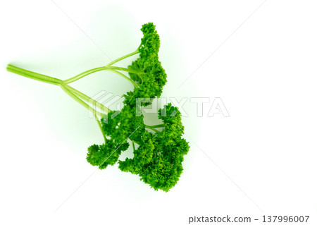 Nutrition and wellness concept fresh garden parsley Nutrition and wellness concept fresh garden parsley 137996007