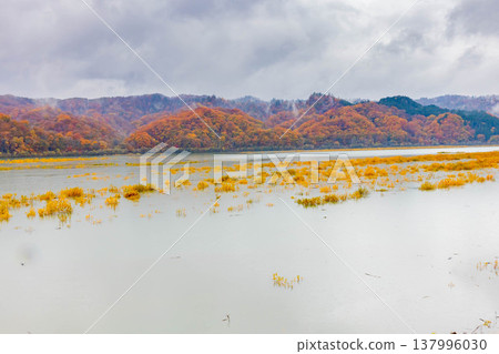 Saru River and Autumn Leaves Saru River and Autumn Leaves 137996030