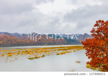 Saru River and Autumn Leaves 137996031
