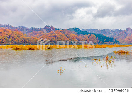 Saru River and Autumn Leaves Saru River and Autumn Leaves 137996036