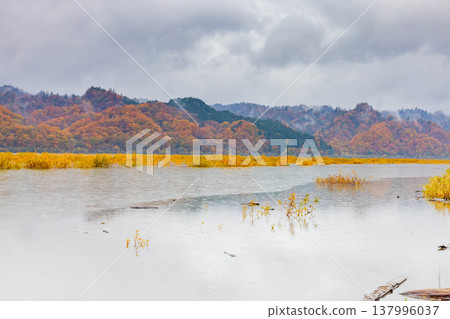 Saru River and Autumn Leaves Saru River and Autumn Leaves 137996037