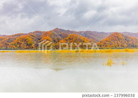 薩魯河和秋葉 薩魯河和秋葉 137996038