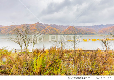 Saru River and Autumn Leaves Saru River and Autumn Leaves 137996056