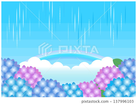 雨季繡球花和彩虹背景框 雨季繡球花和彩虹背景框 137996103