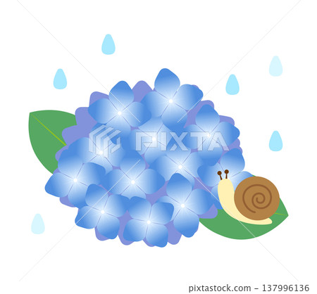 An illustration of rain, hydrangeas, and a snail. An illustration of rain, hydrangeas, and a snail. 137996136