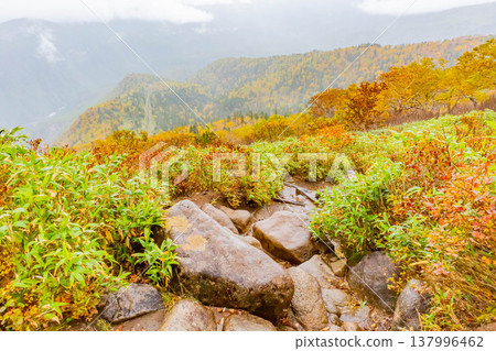 黑岳的秋葉美景 137996462