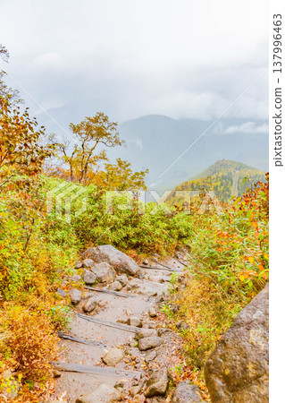 黑岳的秋葉美景 黑岳的秋葉美景 137996463