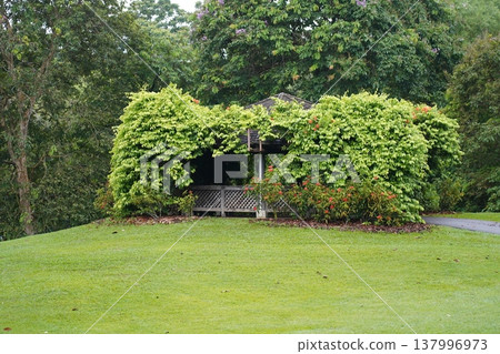 Gazebo in Lush Garden Setting Tranquil Scene Gazebo in Lush Garden Setting Tranquil Scene 137996973