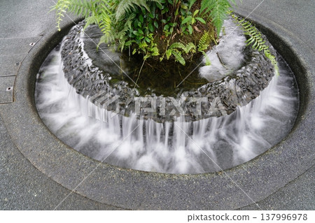 Water Fountain with Ferns and Stone Architecture Water Fountain with Ferns and Stone Architecture 137996978