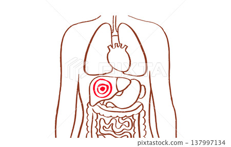 Liver disease concept Liver disease concept 137997134