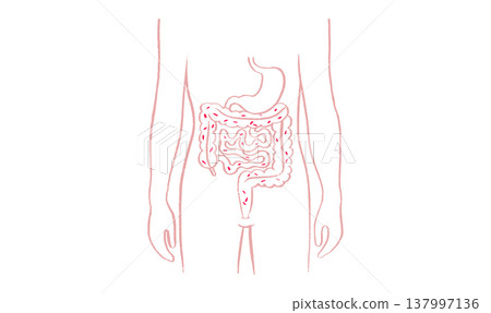Gut Brain Connection Gut Brain Connection 137997136