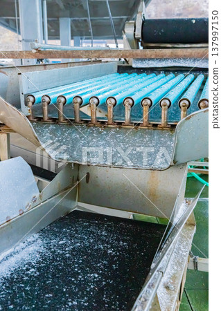 魚類分類機 魚類分類機 137997150