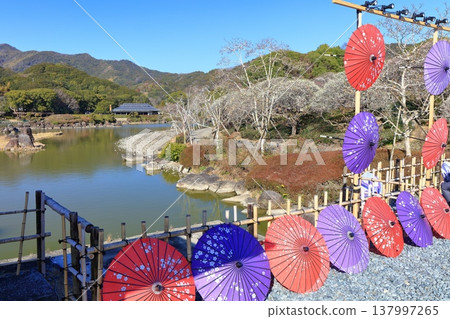 【愛媛郡】晴空下的南樂園梅花祭 【愛媛郡】晴空下的南樂園梅花祭 137997265