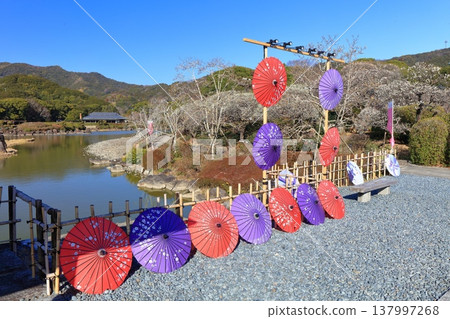 【愛媛郡】晴空下的南樂園梅花祭 【愛媛郡】晴空下的南樂園梅花祭 137997268
