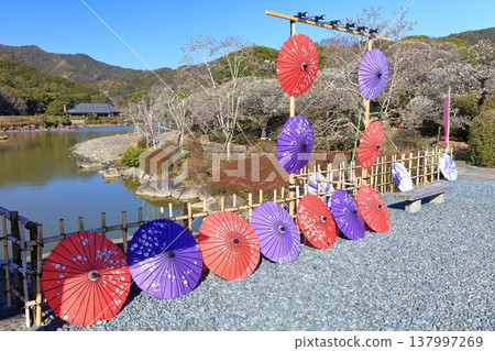 【愛媛郡】晴空下的南樂園梅花祭 【愛媛郡】晴空下的南樂園梅花祭 137997269