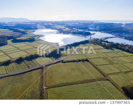 令人驚嘆的無人機空拍畫面,展現了福井縣蘆原市北形湖的壯麗景色,畫面中可以看到盛開的蕎麥田、鳶尾花橋以及沿湖排列的風力渦輪機。 令人驚嘆的無人機空拍畫面,展現了福井縣蘆原市北形湖的壯麗景色,畫面中可以看到盛開的蕎麥田、鳶尾花橋以及沿湖排列的風力渦輪機。 137997363