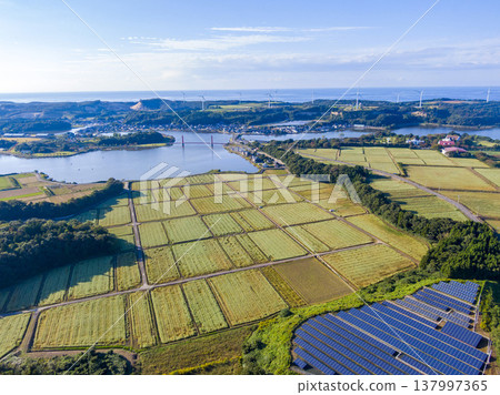 令人驚嘆的無人機空拍畫面,展現了福井縣蘆原市北形湖的壯麗景色,畫面中可以看到盛開的蕎麥田、鳶尾花橋以及沿湖排列的風力渦輪機。 令人驚嘆的無人機空拍畫面,展現了福井縣蘆原市北形湖的壯麗景色,畫面中可以看到盛開的蕎麥田、鳶尾花橋以及沿湖排列的風力渦輪機。 137997365