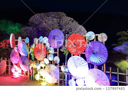 【愛媛郡】南樂園的梅花燈光走廊 【愛媛郡】南樂園的梅花燈光走廊 137997485