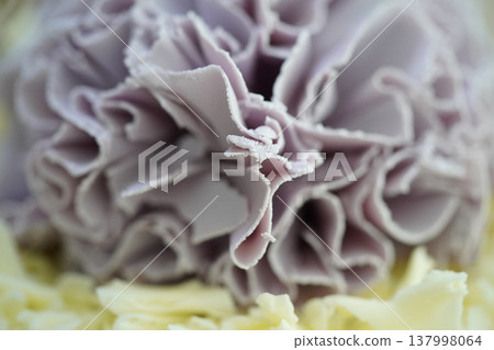 Close Up of a Dianthus Flower Close Up of a Dianthus Flower 137998064