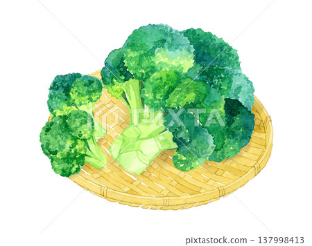 Broccoli on a bamboo basket - Hand-drawn watercolor illustration of vegetables Broccoli on a bamboo basket - Hand-drawn watercolor illustration of vegetables 137998413