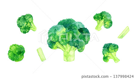 一套完整的和切好的西蘭花——手繪水彩蔬菜插圖。 137998424