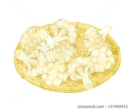 竹籃裡的花椰菜－手繪水彩蔬菜插圖 137998431