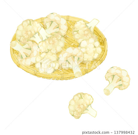 Cauliflower on a bamboo basket - Hand-drawn watercolor illustration of a vegetable Cauliflower on a bamboo basket - Hand-drawn watercolor illustration of a vegetable 137998432
