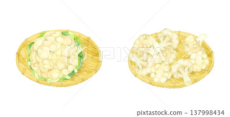 A set of cauliflowers on a bamboo basket - Hand-drawn watercolor illustration of vegetables 137998434