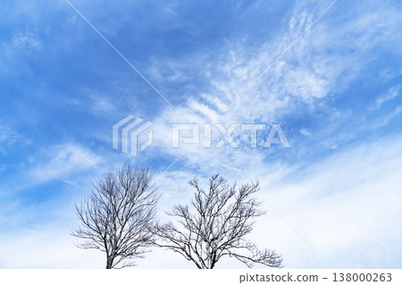 藍天，白雲和樹林 138000263