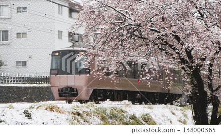 [Heavy Snowfall in the Kanto Region] Cherry Blossoms and Express Trains (March 29, 2020) 138000365