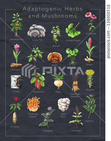 Adaptogenic herbs and mushrooms with names watercolor illustration set. Hand drawn various medicinal plants and fungi for healthcare, herbal medicine and wellness natural collection 138000518