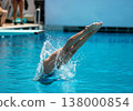 Diver executing a perfect entry into the water, showcasing skill and precision in springboard diving 138000854