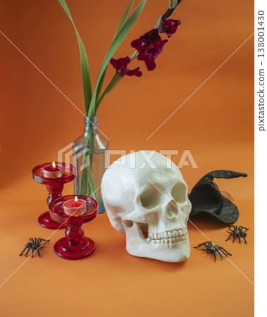 Halloween decorations with skull, candles, witch hat and spiders on orange background. Interior decoration for Halloween. 138001430