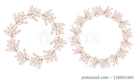 Sea Buckthorn Circular Wreath Set. Line Art Botanical Round Frame with Branch Berries and Leaves with Empty Copy Space. Isolated Outline hand-drawn Template on White. Vector illustration Sea Buckthorn Circular Wreath Set. Line Art Botanical Round Frame with Branch Berries and Leaves with Empty Copy Space. Isolated Outline hand-drawn Template on White. Vector illustration 138001483