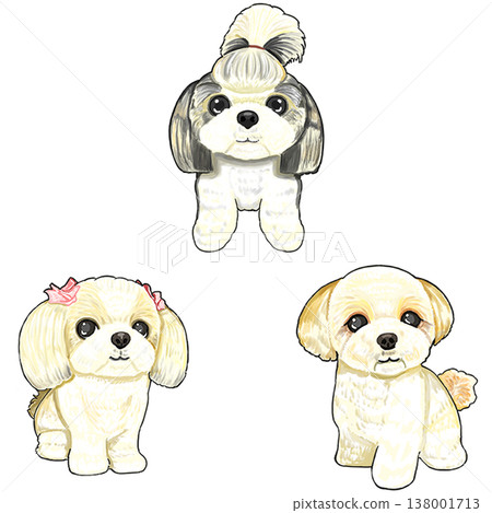三種西施犬 三種西施犬 138001713