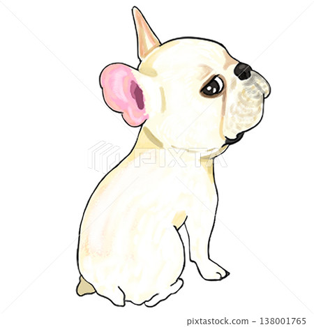 French bulldog French bulldog 138001765