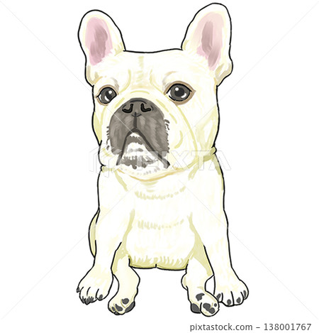 法國鬥牛犬 法國鬥牛犬 138001767
