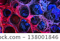 Close up view of vibrant red and blue cells highlighting intricate cellular structures in detail 138001846