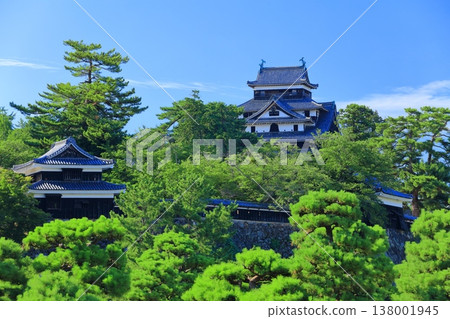 【島根郡】晴天的松江城天守閣(國寶) 【島根郡】晴天的松江城天守閣(國寶) 138001945