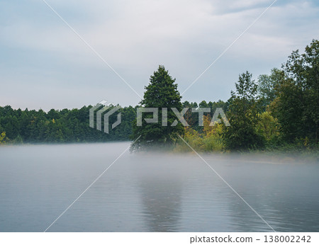 Fog settles over a calm lake in the early morning. Dense trees line the banks, with a large coniferous tree standing prominently. Fog settles over a calm lake in the early morning. Dense trees line the banks, with a large coniferous tree standing prominently. 138002242