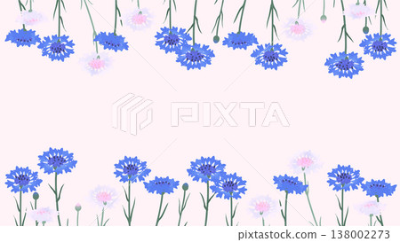 矢車菊上下邊框背景(16:9)| 適用於橫幅和幻燈片的花卉素材 矢車菊上下邊框背景(16:9)| 適用於橫幅和幻燈片的花卉素材 138002273