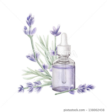 Watercolor lavender essential oil glass dropper bottle with purple flowers. Hand drawn botanical illustration for organic cosmetic, spa, wellness, beauty, skincare design isolated on white background Watercolor lavender essential oil glass dropper bottle with purple flowers. Hand drawn botanical illustration for organic cosmetic, spa, wellness, beauty, skincare design isolated on white background 138002438