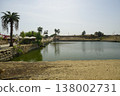 Sacred Lake at Karnak Temple with Palm Trees and Ancient Stone Ruins, Luxor Egypt 138002731