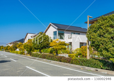 在冬日藍天的襯托下，一片格外醒目的住宅區。 138002946
