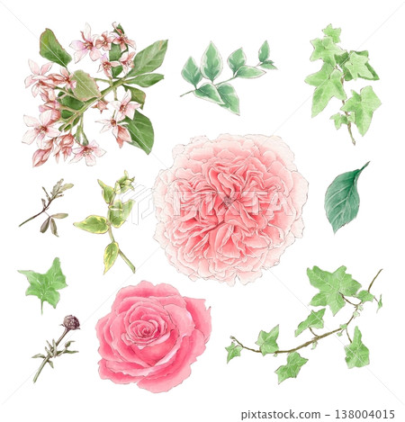 Watercolor illustration of a set of delicate roses and other flowers, hand-drawn. Watercolor illustration of a set of delicate roses and other flowers, hand-drawn. 138004015