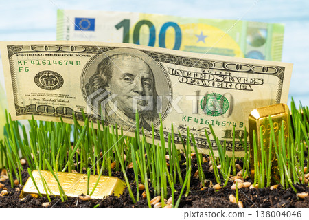 green wheat with gold and currency 138004046